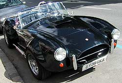 cobra1.jpg (11951 Byte)