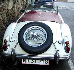 mga2.jpg (14355 Byte)