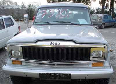 jeep01.jpg (12369 Byte)