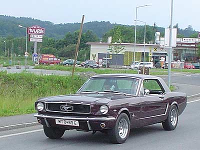 stang02.jpg (26362 Byte)