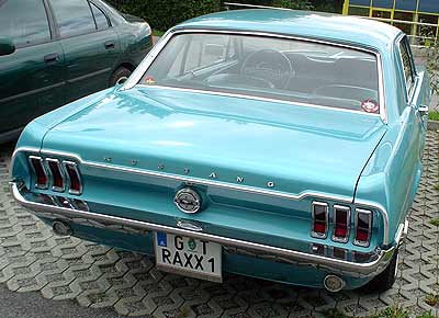 mustang03.jpg (25328 Byte)