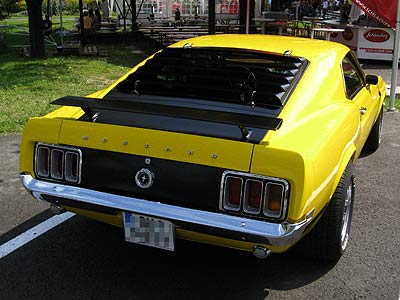 b459_mustang_boss302.jpg (28685 Byte)