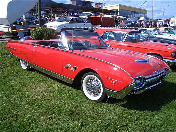 gall284_thunderbird.jpg (82289 Byte)