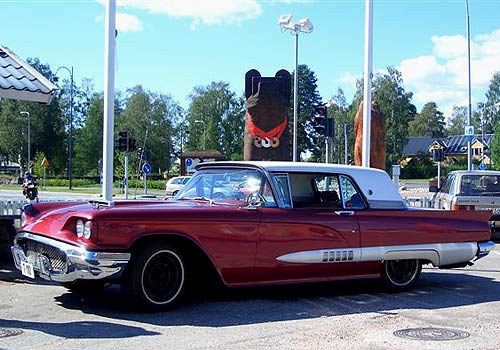 gall285_Thunderbird.jpg (45161 Byte)