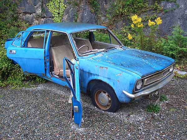 gall317_Morris_Marina.jpg (58306 Byte)