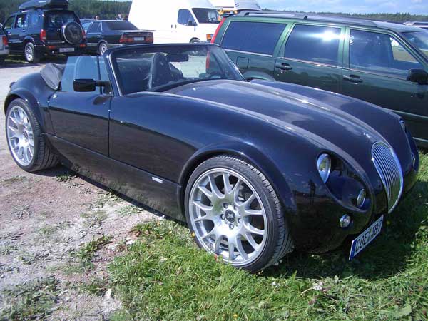 gall341_wiesmann.jpg (53033 Byte)