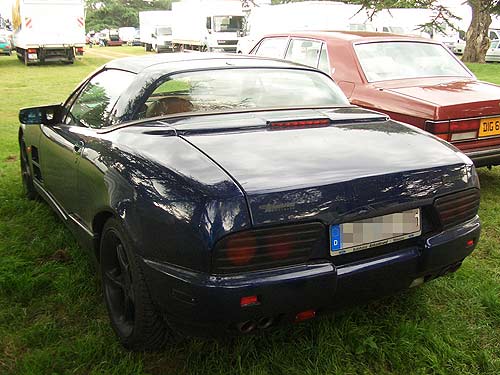 gall418b_qvale_mangusta.jpg (41693 Byte)