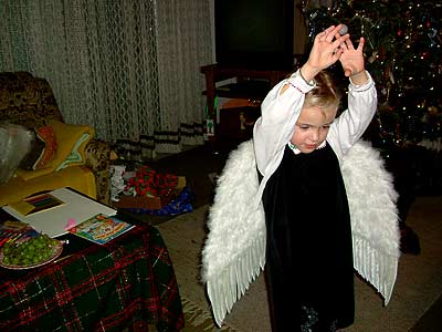 angel07a.jpg (23290 Byte)